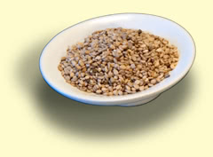 Photograph of sesame seed